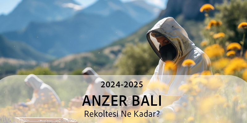 Anzer Balının 6 Şaşırtıcı Faydası