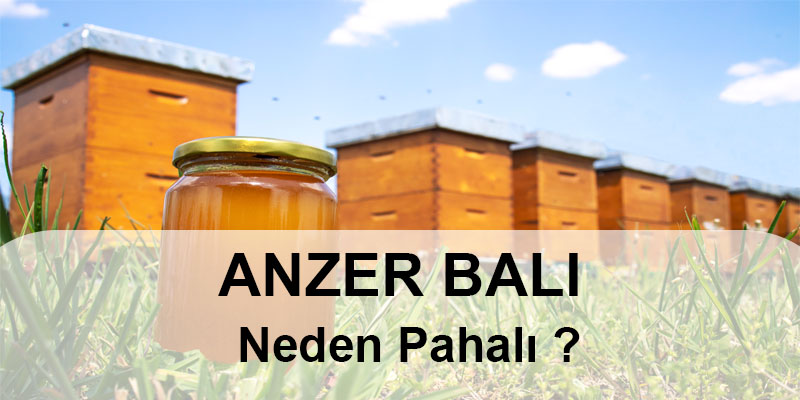 Krem Bal Nedir, Nasıl Yapılır?