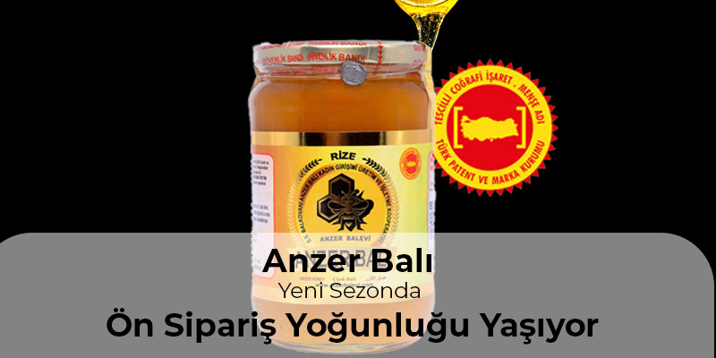 Balı Doğru Saklama ve Kristalizasyon Gerçeği